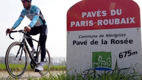 Tom Boonen
