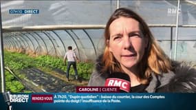 Fruits et légumes: pourquoi les circuits courts et la vente directe ont la cote