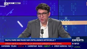 Faut-il faire une pause sur l'intelligence artificielle ?