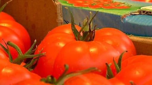 Un rapport remis le 28 janvier 2014 à la ministre de la Santé préconise d'instaurer un logo pour identifier les aliments "sains".