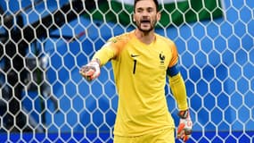 LLoris