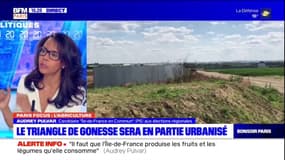 Triangle de Gonesse: Audrey Pulvar souhaite "une grande expérimentation" pour passer à "l'agroécologie"