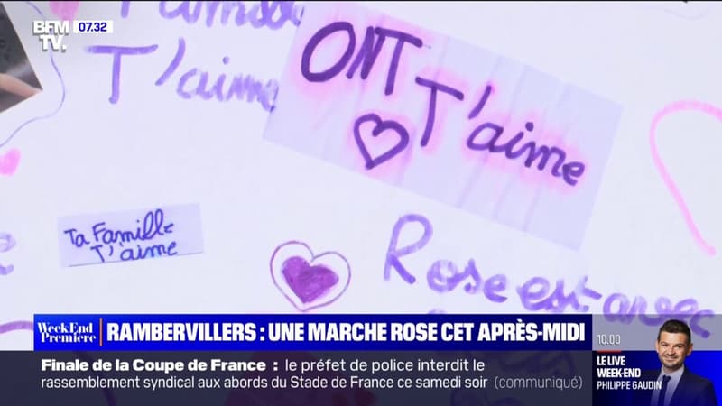 Vosges: les habitants de Rambervillers pourront rendre hommage à la fillette lors d'une marche rose ce samedi après-midi 