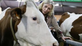 Marine Le Pen au salon de l'agriculture en 2013