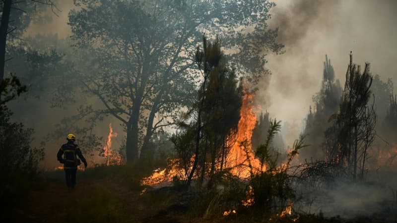 Alpes-de-Haute-Provence: face au risque d'incendie, les écobuages strictement encadrés jusqu'en mars