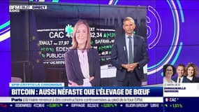 BFM Crypto : Bitcoin, aussi néfaste que l'élevage de boeufs - 03/10