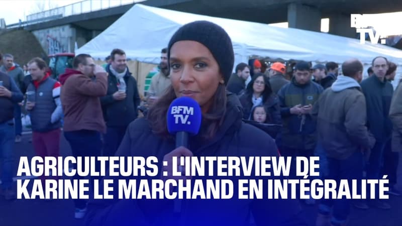 Colère des agriculteurs: l'interview de Karine Le Marchand en intégralité