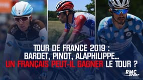 Tour de France 2019 : Bardet, Pinot, Alaphilippe... Un Français peut-il (enfin) gagner le Tour ?