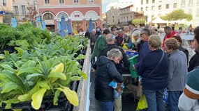 Il est toujours interdit d'arroser les plantes à Saint-Raphaël à cause de la sécheresse. La municipalité a donc décidé de les donner. 