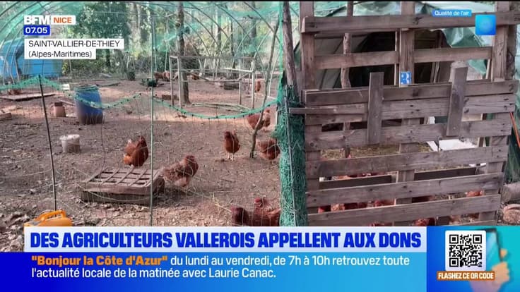À Saint-Vallier-de-Thiey, Manuel et Corinne appellent aux dons pour sauver leur ferme