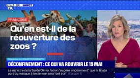 Zoos, parcs d'attractions, casinos: quand vont-ils rouvrir ? BFMTV répond à vos questions