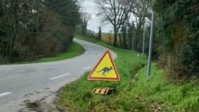 La mairie de Plumelin (Morbihan) a installé de nouveaux panneaux alors qu'un wallaby en liberté a été vu sur la commune, en février 2025.