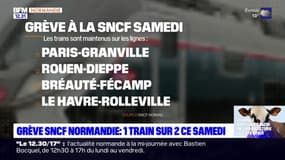 Grève SNCF: un train sur deux ce samedi en Normandie