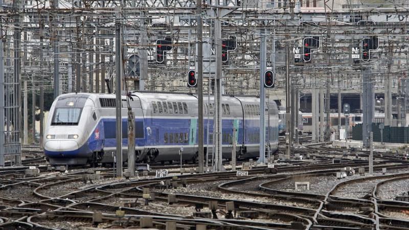 Un TGV assurant la liaison entre Marseille et Nice a été contraint à l'arrêt samedi en périphérie de la cité phocéenne par une vingtaine de jeunes qui ont tenté d'en forcer les portes. Les assaillants ont pris la fuite à l'arrivée de la police. /Photo d'a