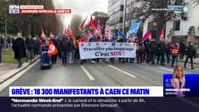Grève du 31 janvier: 18.300 manifestants à Caen