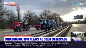 Colère des agriculteurs: la M35 totalement bloquée