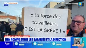 Le lien est rompu entre les salariés et la direction chez Virbac