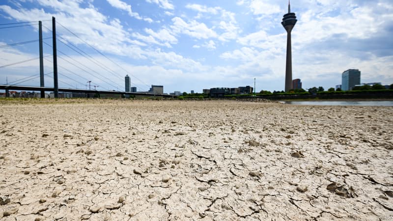 Allemagne: le changement climatique pourrait coûter 910 milliards d'euros d'ici 2050