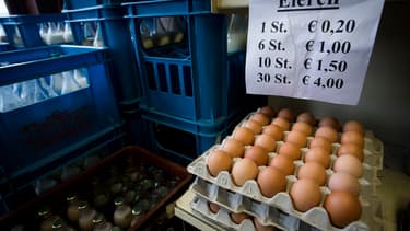 Des oeufs contaminés ont été importés dans plusieurs pays européens.