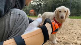 Yohan Jermann a pu compter sur sa chienne pour le maintenir éveillé en attendant les secours.