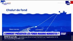 Nord: comment préserver les fonds marins?