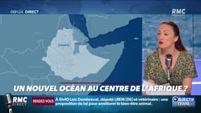 Objectif Terre : Un nouvel océan au centre de l'Afrique ? - 30/07