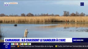 Camargue: ils chassent le sanglier à l'arc