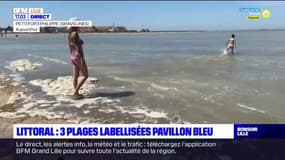 Littoral: trois plages récompensées du label Pavillon Bleu