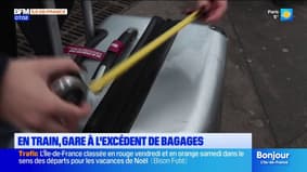 Paris: avant de prendre le train, il faut désormais vérifier la taille de ses bagages