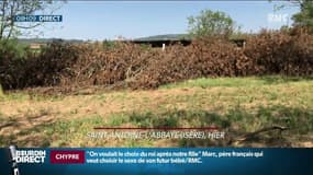 Un agriculteur a lancé une cagnotte en ligne après que sa production de noix ait été touchée par de violents orages 