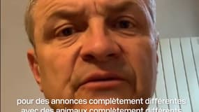 La SPA alerte sur la vente d'animaux sur Internet