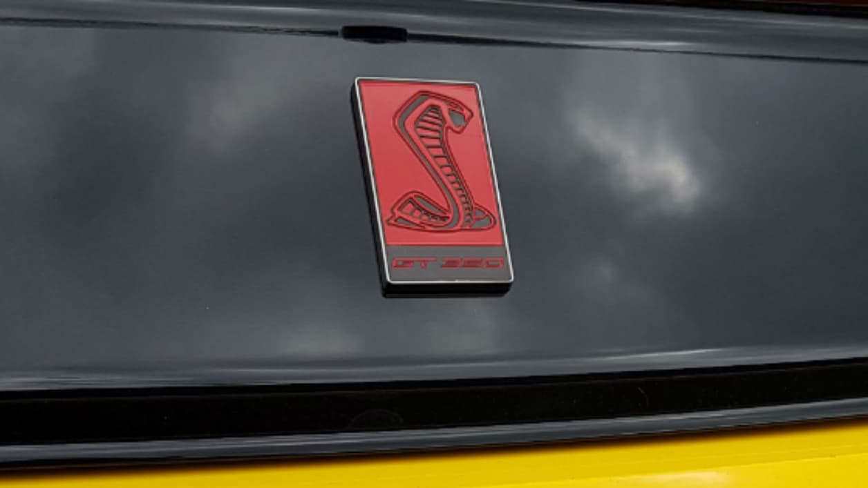 Le cobra devenu le symbole de Shelby, ici à l'arrière de la GT350R