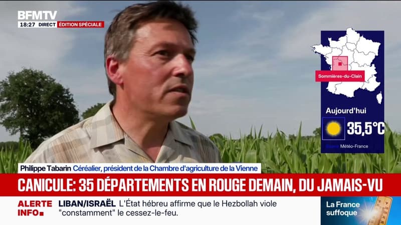 35,5 degrés dans la Vienne: comment les agriculteurs gèrent-ils les périodes de forte chaleur ?