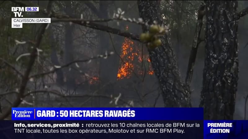 Dans le Gard, un incendie a ravagé 50 hectares