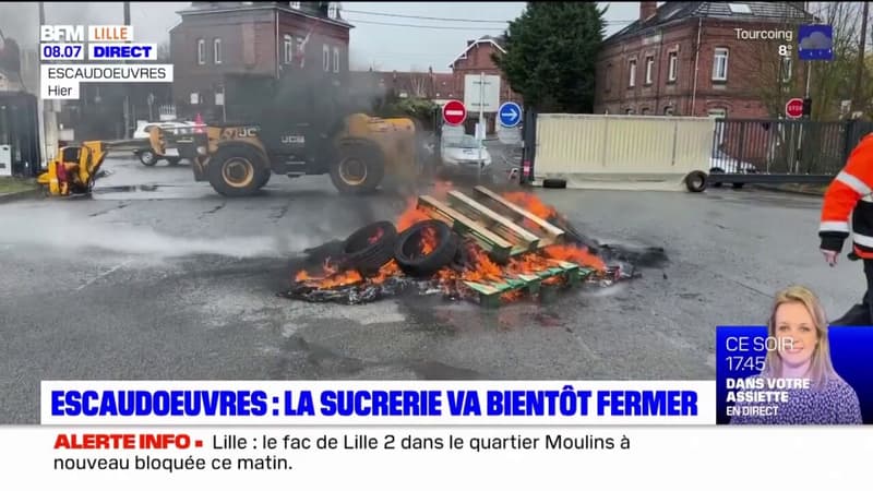 Nord: le groupe Tereos a annoncé vouloir arrêter l'activité sucrière du site d'Escaudœuvres, 123 emplois sont menacés.