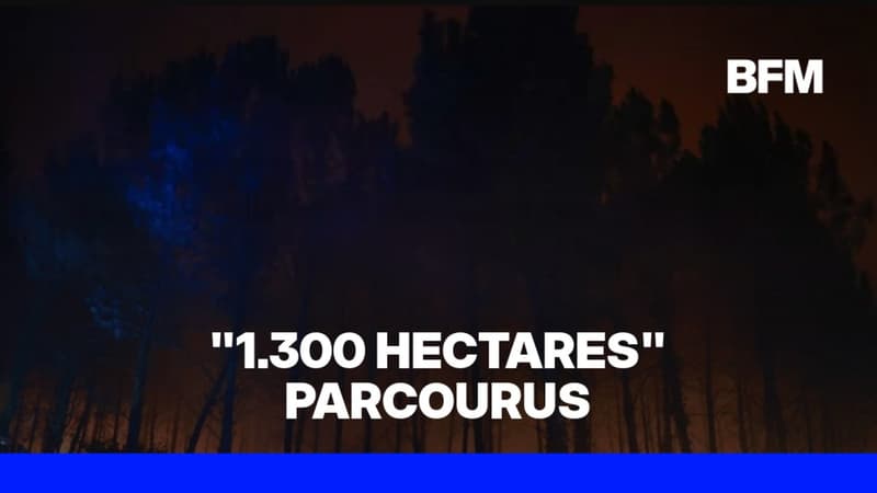 L'incendie dans les Landes a parcouru 1.300 hectares, son "intensité est toujours forte mais diminue"