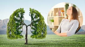 GreenReso, spécialiste de la purification de l'air