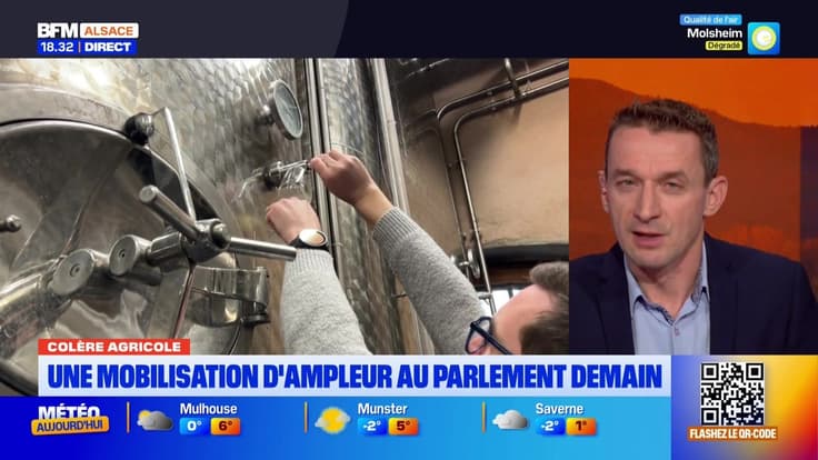 Bonsoir Alsace du lundi 19 janvier 2026