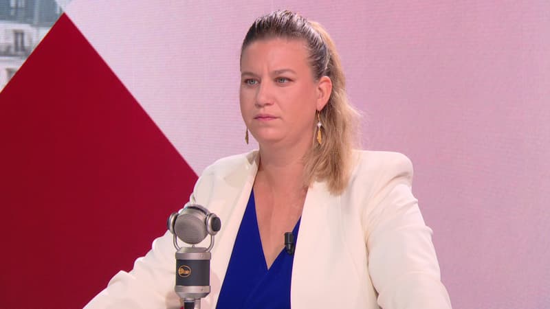 Loi Duplomb sur l'agriculture: LFI va déposer ce mercredi sa motion de censure face au 