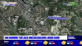 Marseille: un homme de 20 ans mort par balles à la cité des Micocouliers