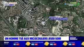 Marseille: un homme de 20 ans mort par balles à la cité des Micocouliers