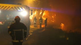 Des pompiers confrontés aux flammes en Haute-Corse le 24 juillet 