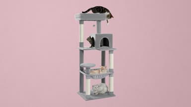 Avec cet arbre à chat, offrez un espace de jeu et de détente à vos boules de poils
