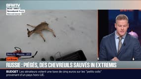 Le break du mardi 2 décembre