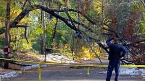 Arbres abattus par une tempête de neige à Weston, Massachusetts. La tempête de neige qui s'est abattue sur le nord-est des Etats-Unis le week-end dernier a fait au moins 13 morts, principalement dans des accidents de la circulation, et des millions de per