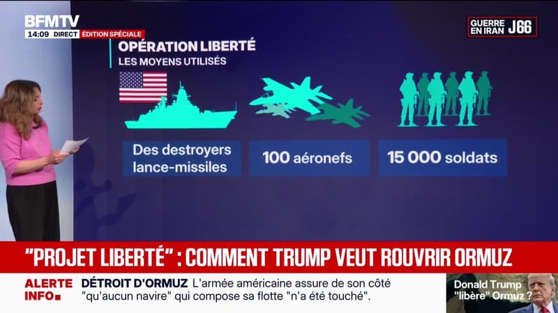 "Projet Liberté" dans le détroit d'Ormuz: en quoi consiste l'opération de l'armée américaine?