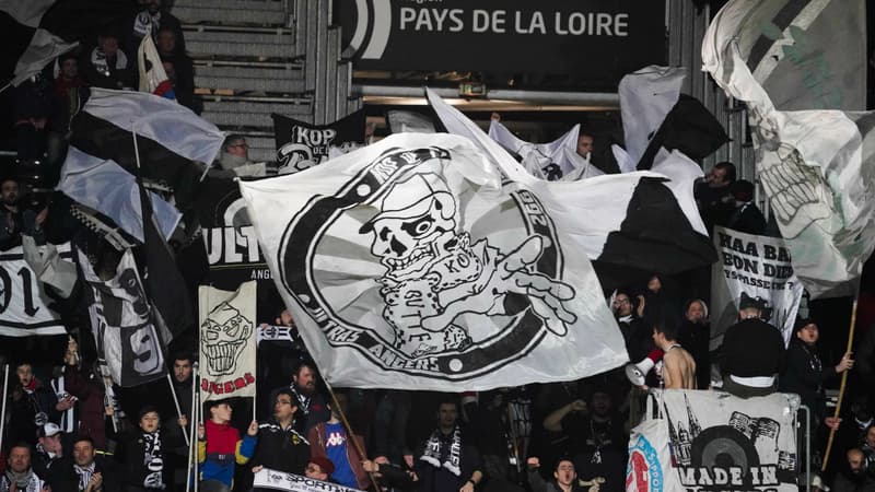 Angers en Youth League