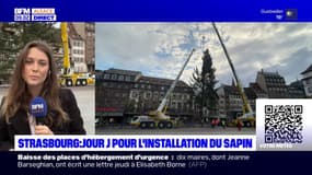 Strasbourg: le sapin de Noël a été installé sur la place Kléber