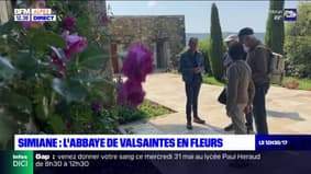 Alpes-de-Haute-Provence: l'abbaye de Valsaintes en fleurs