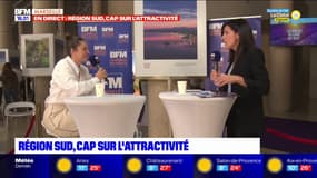 Région Sud: une région propice aux produits de qualité pour la cuisine